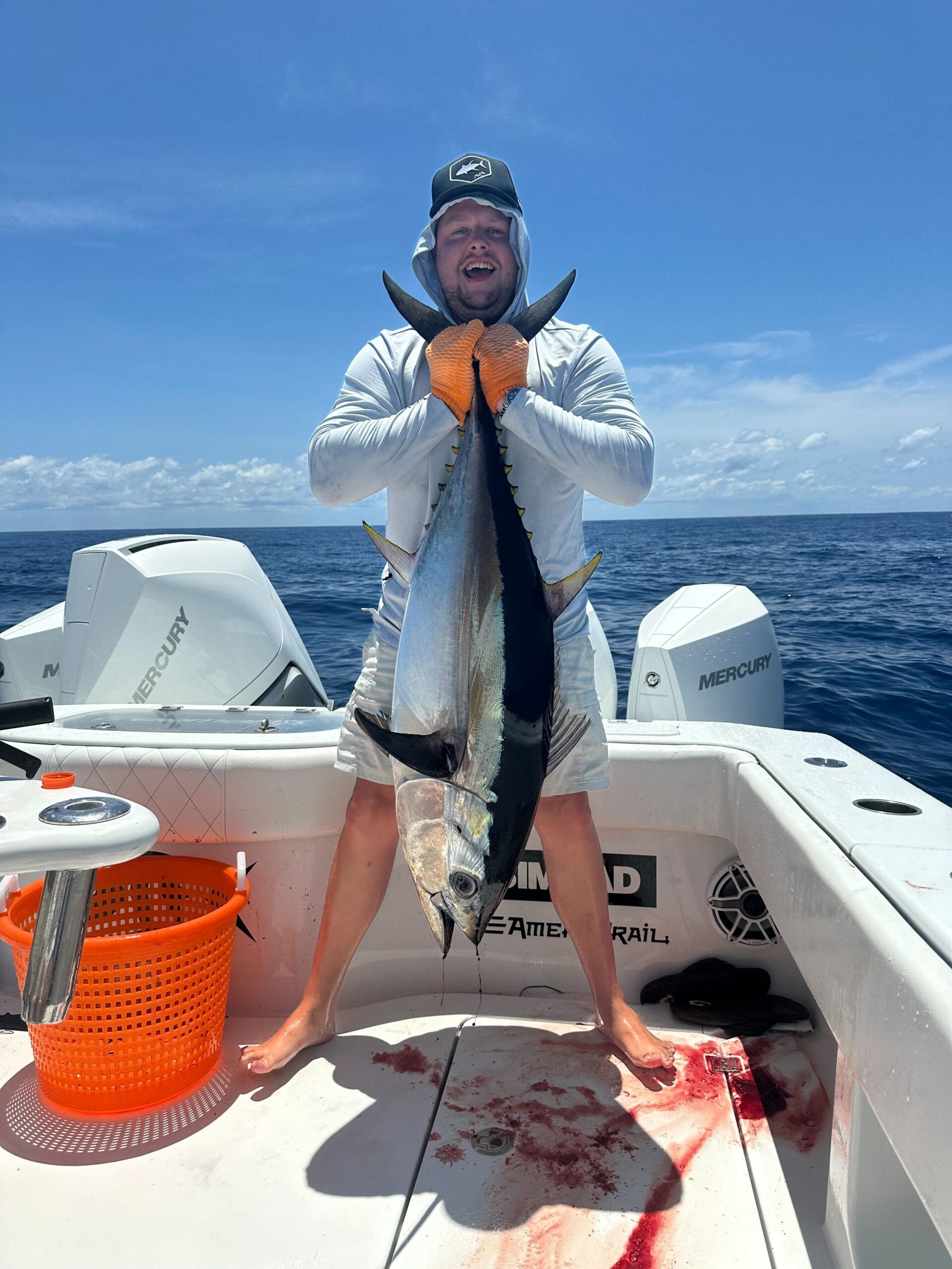 Yellowfin tuna
