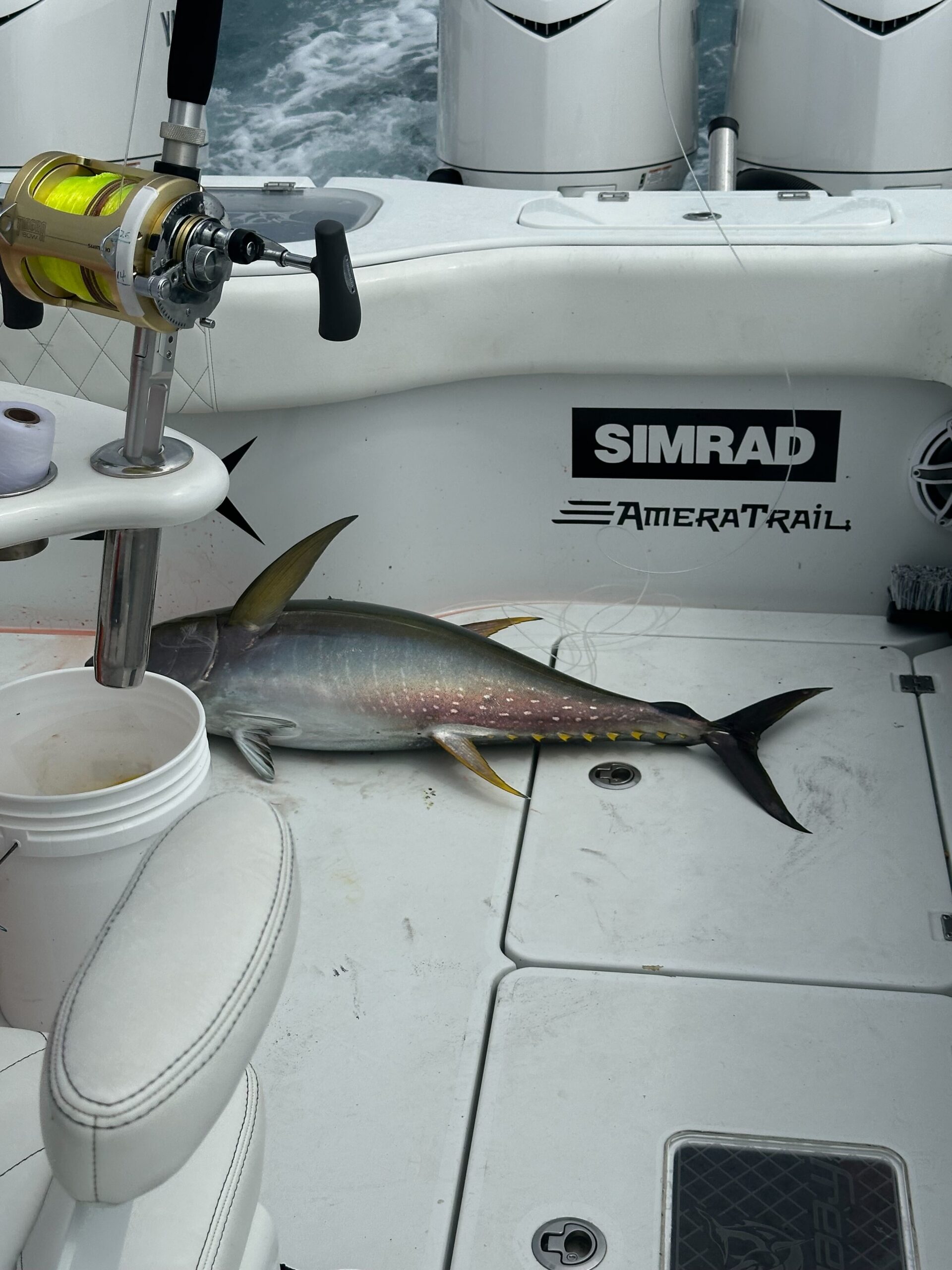 Yellowfin tuna Ocean City